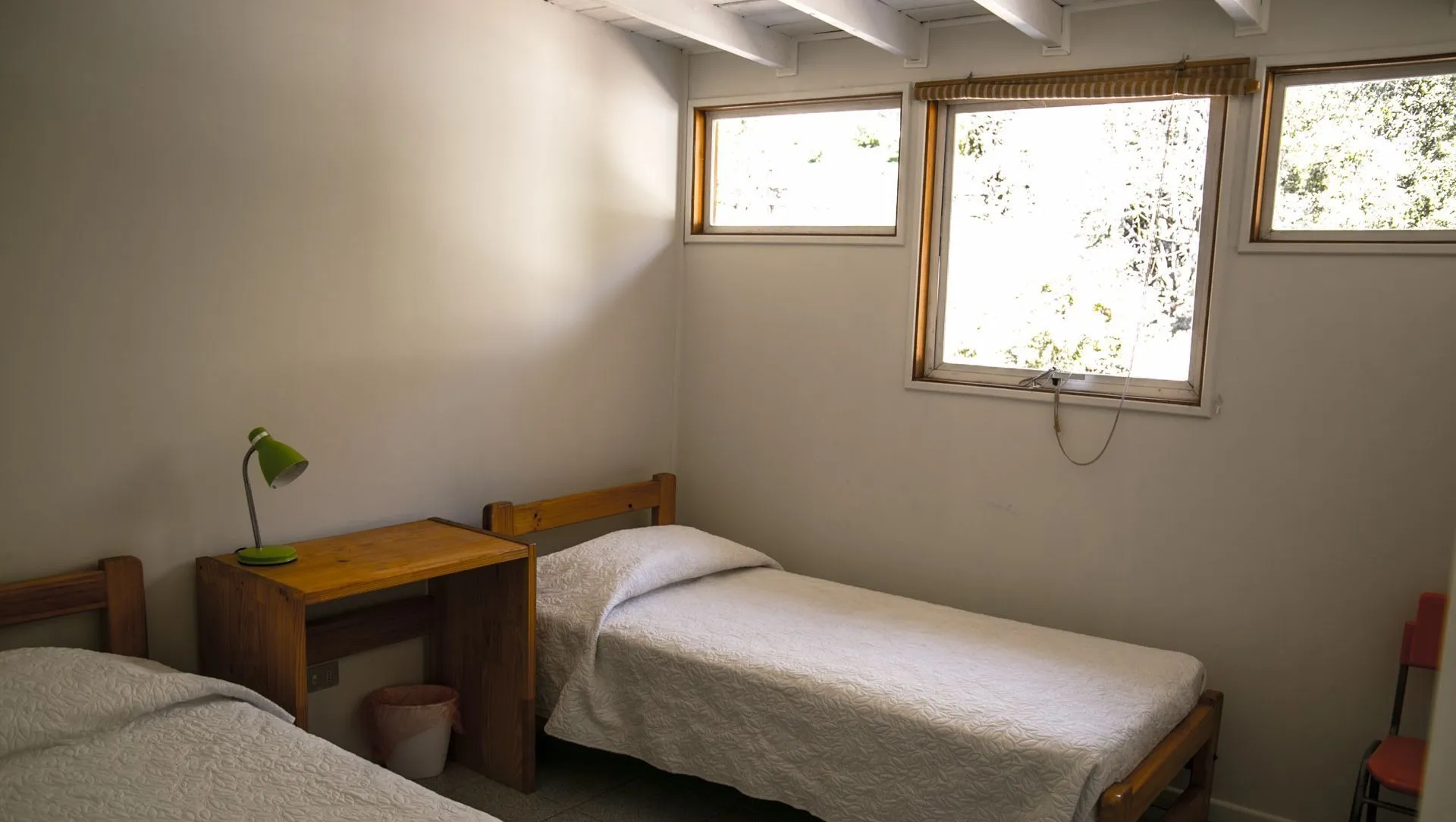 Habitación del refugio con ventanas al bosque